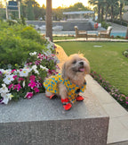 Lemons cutsleeves shirt