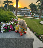 Lemons cutsleeves shirt