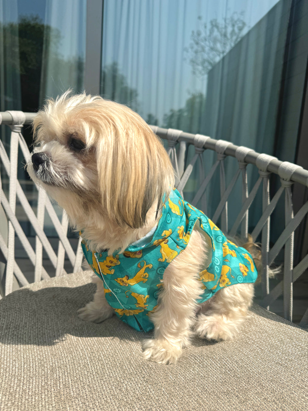 Panthers cutsleeves hoodie shirt