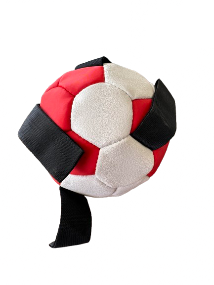 Dog Football Small