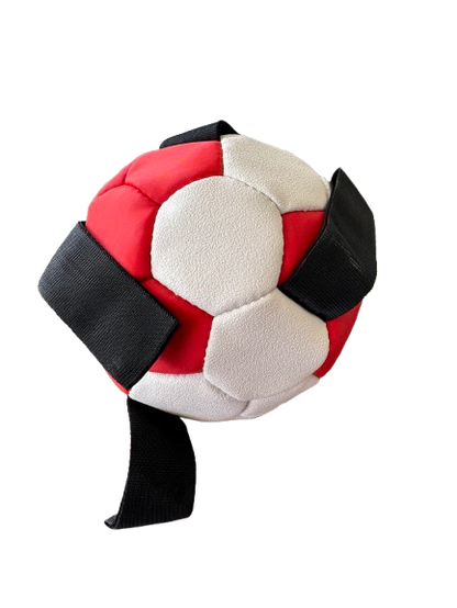 Dog Football Small