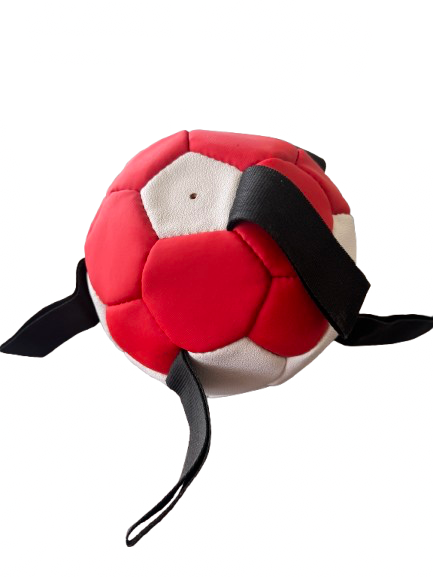 Dog Football Small
