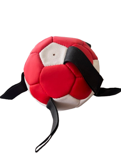 Dog Football Small