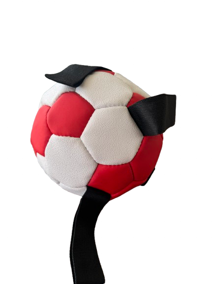 Dog Football Small