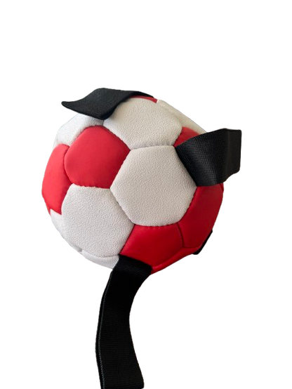 Dog Football Small