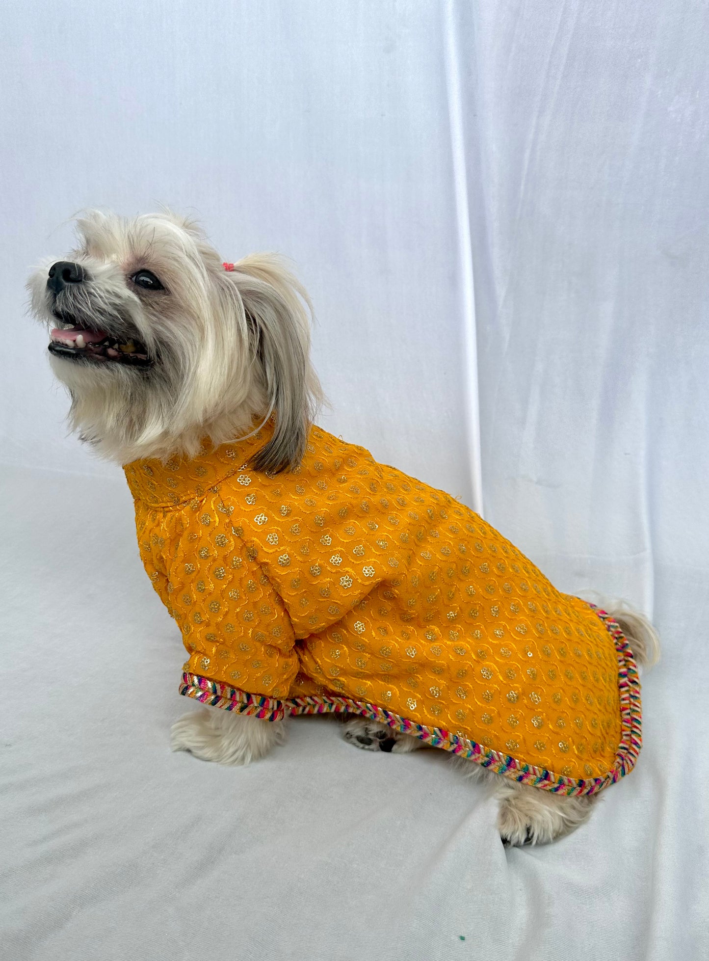 Sherwani with dupatta