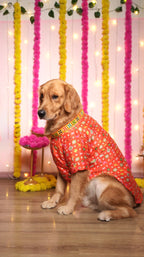 Gulabi Utsav Kurta