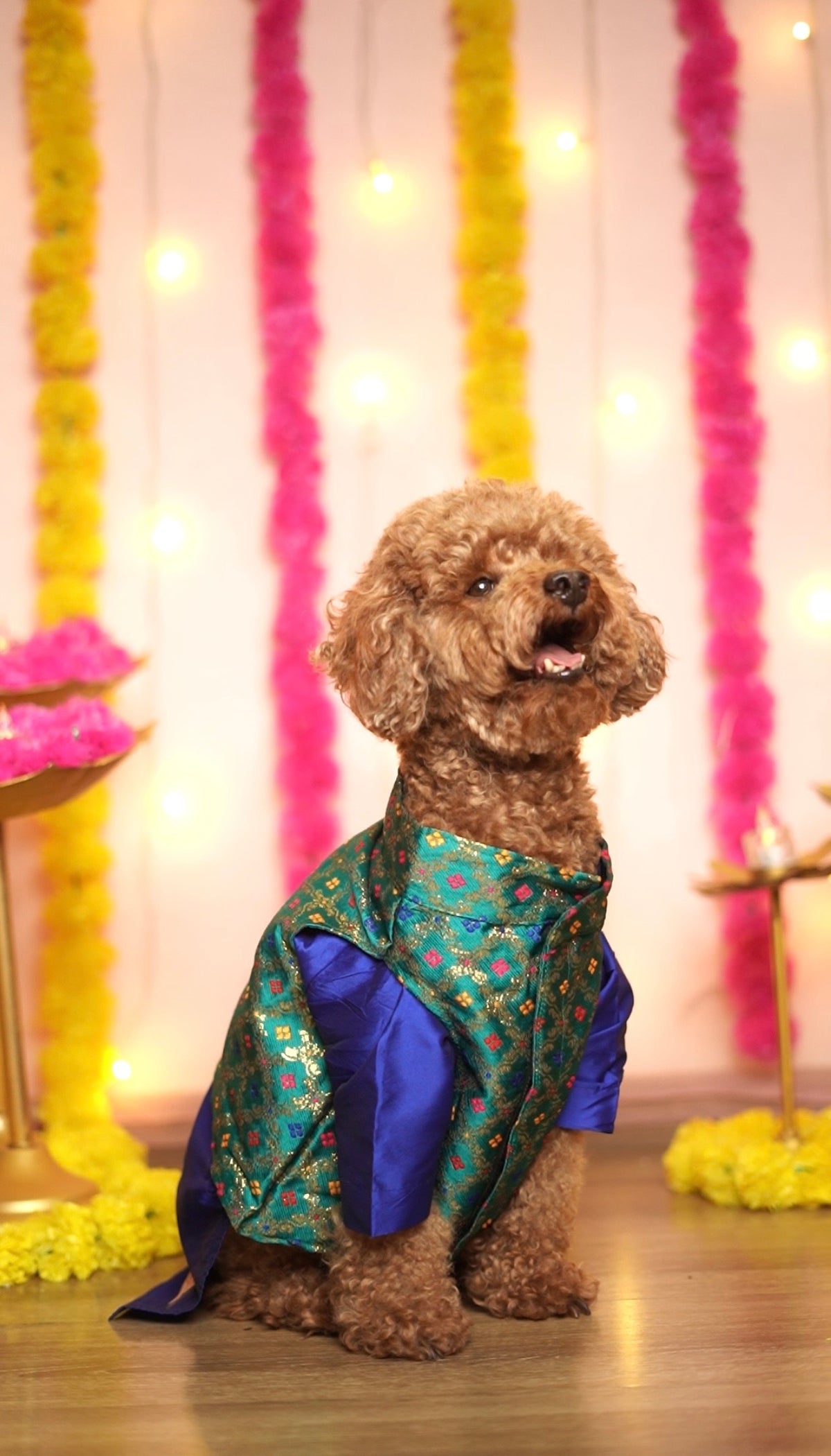 Royal Sapphire Brocade Kurta Set
