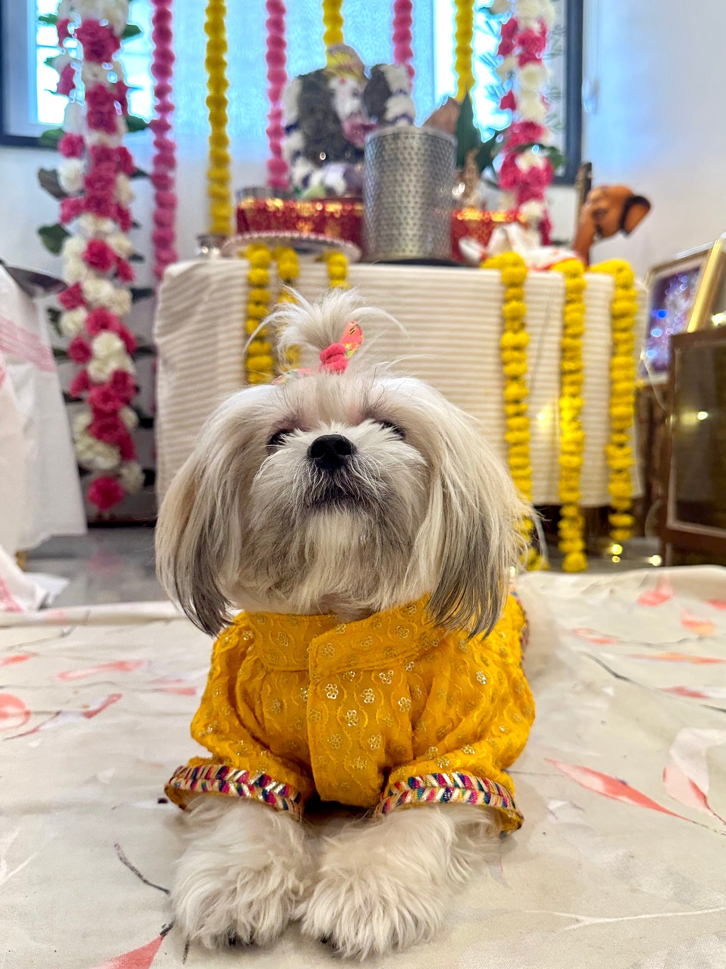 Sherwani with dupatta