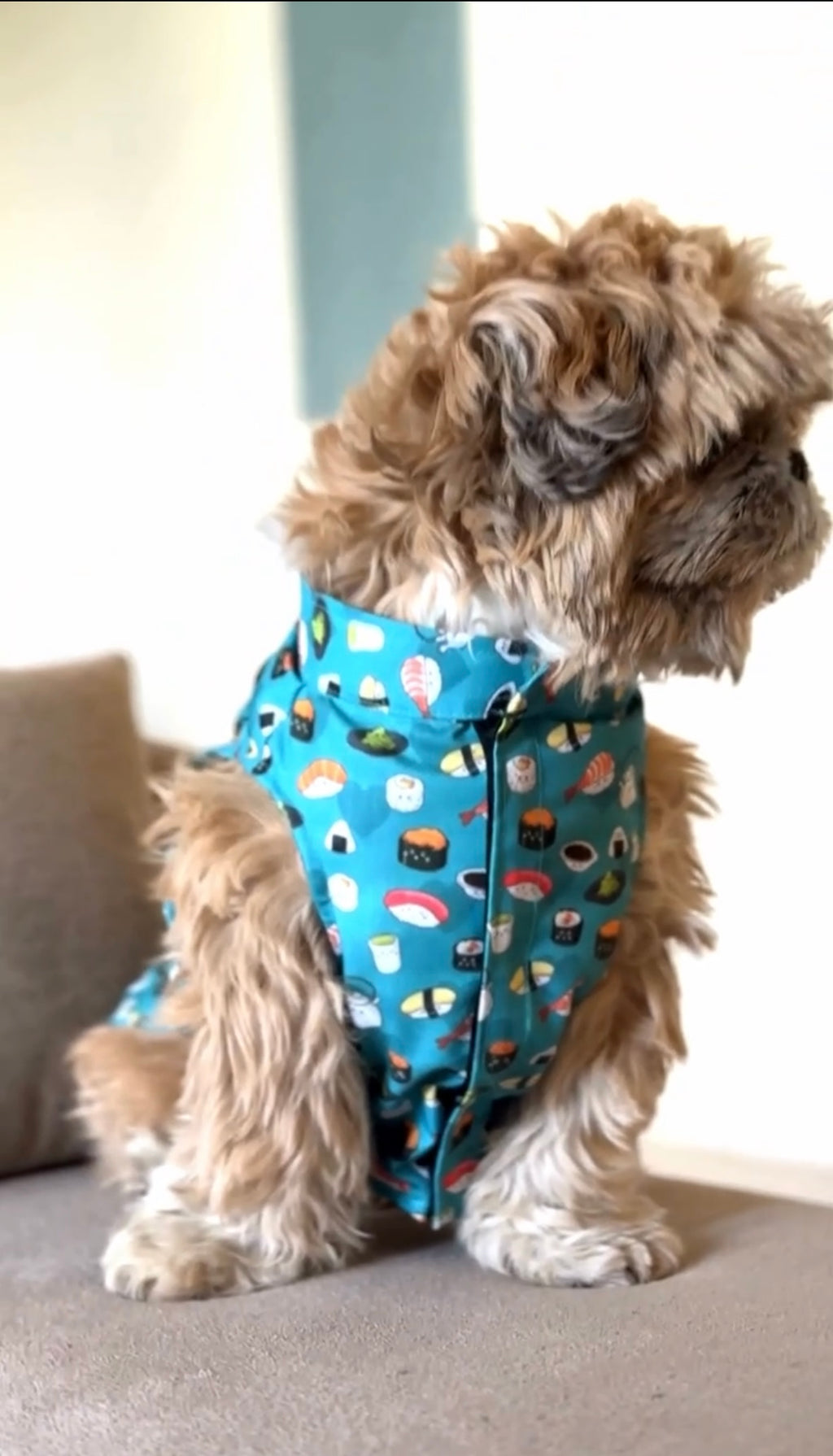 Sushi Cutsleeves Shirt