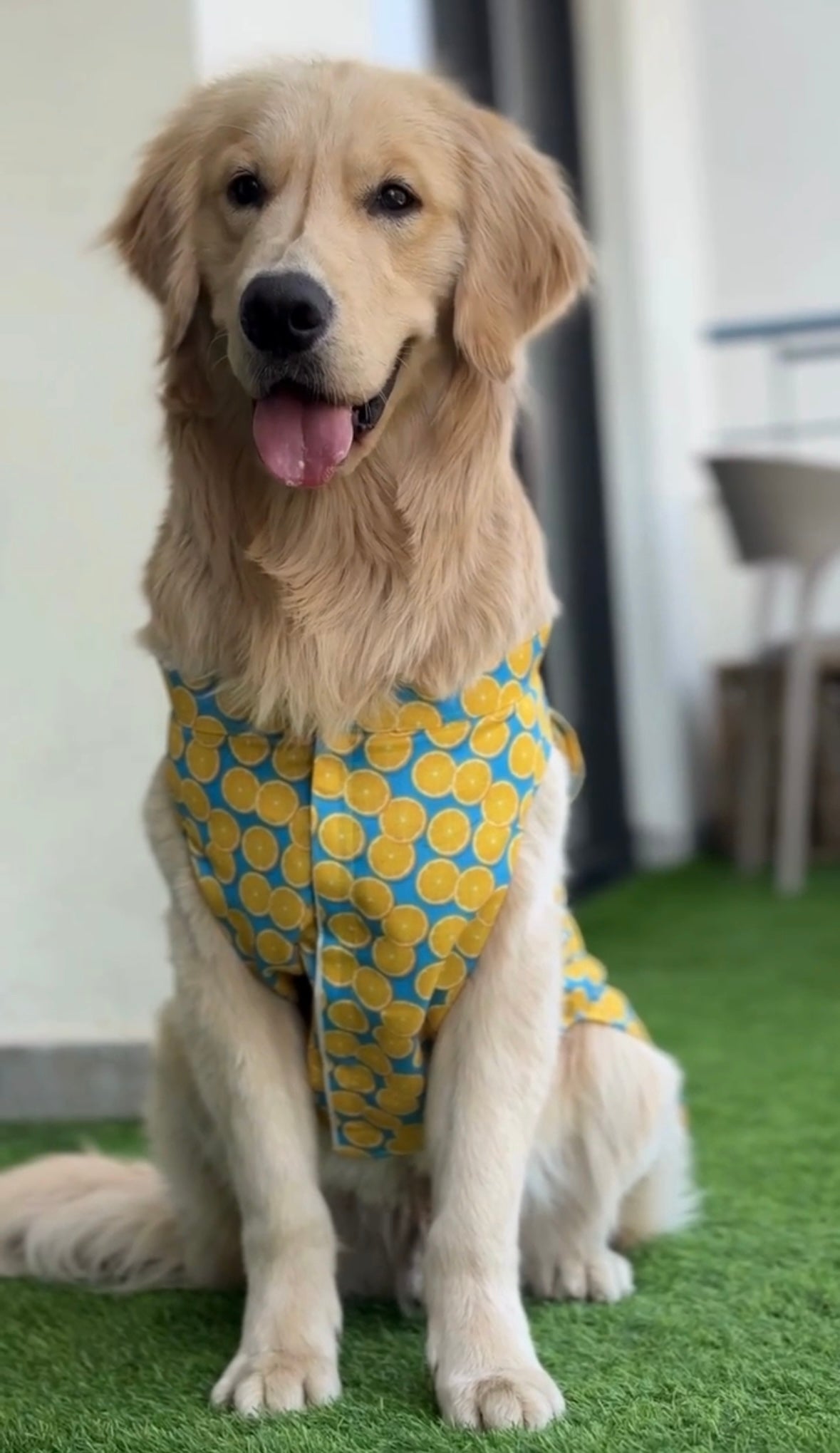 Lemons cutsleeves shirt