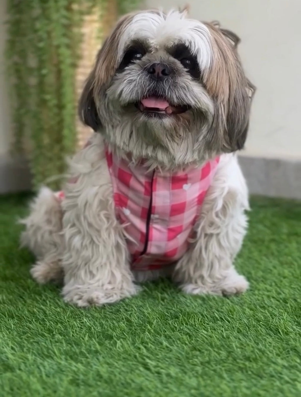 Pink hearts Cutsleeves Shirt