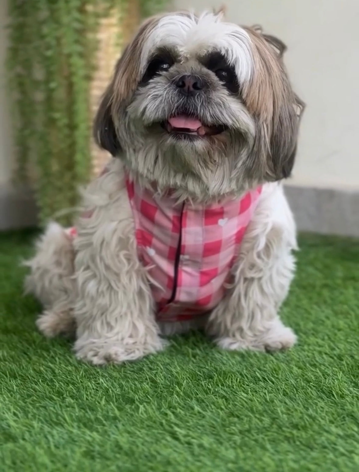 Pink hearts Cutsleeves Shirt