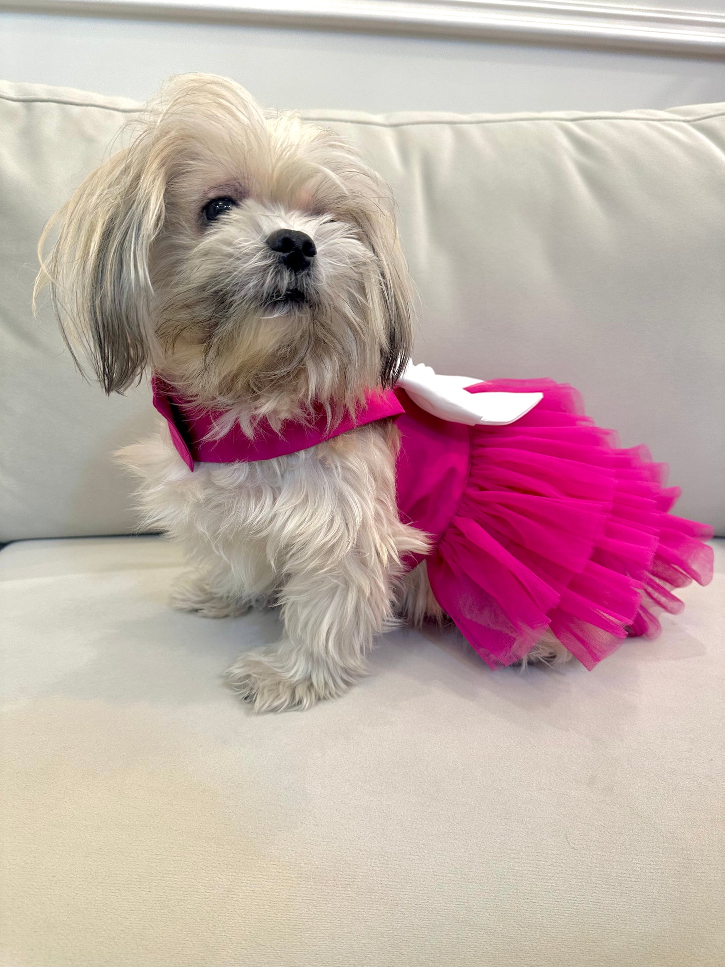 Hot pink tutu dress