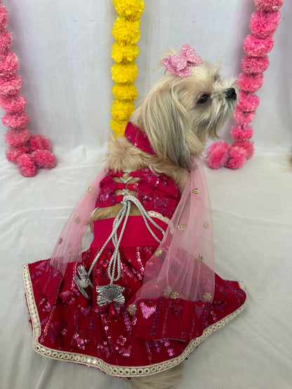 Hot pink Heer lehenga choli