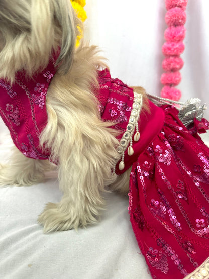 Hot pink Heer lehenga choli