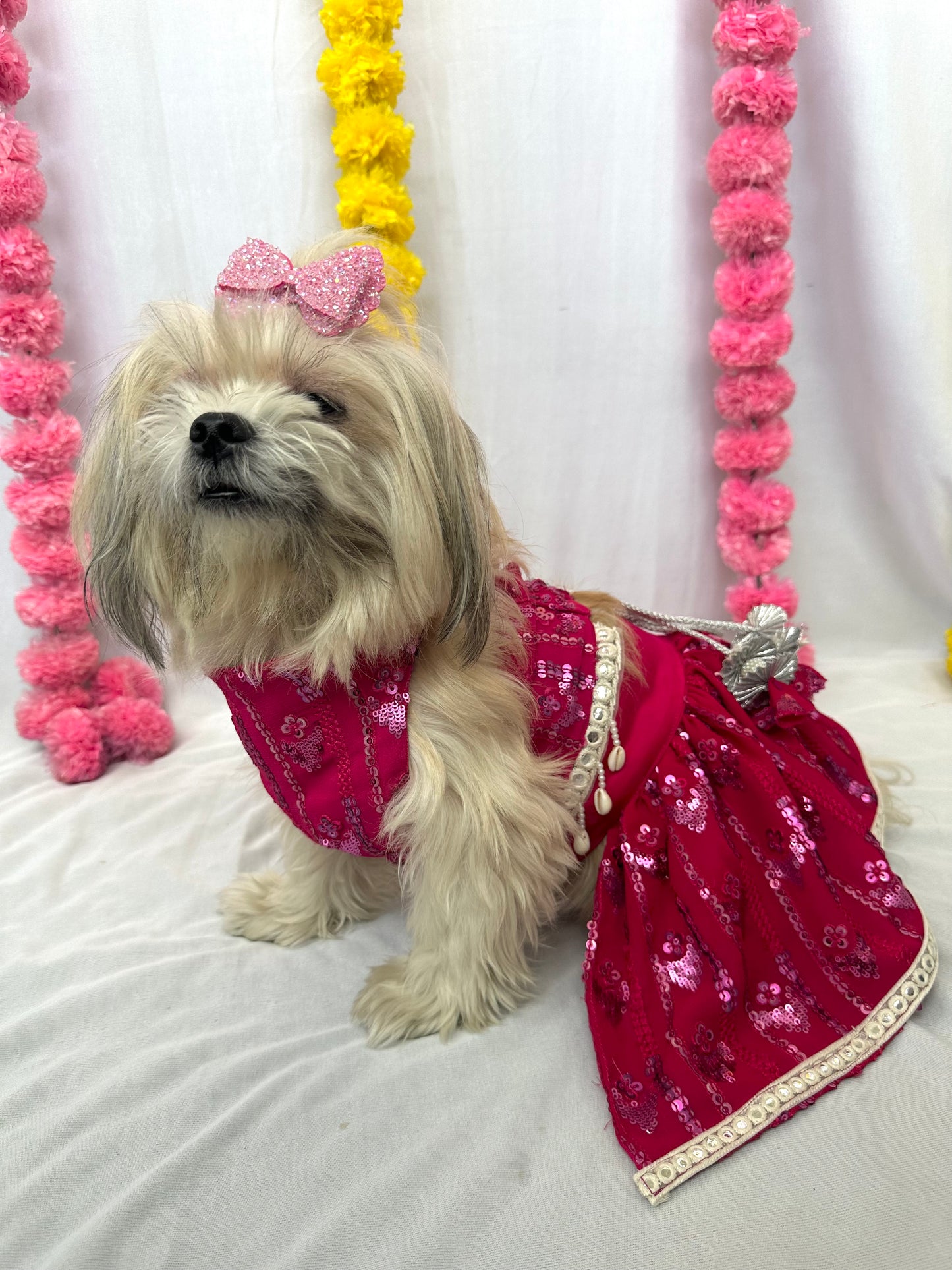 Hot pink Heer lehenga choli