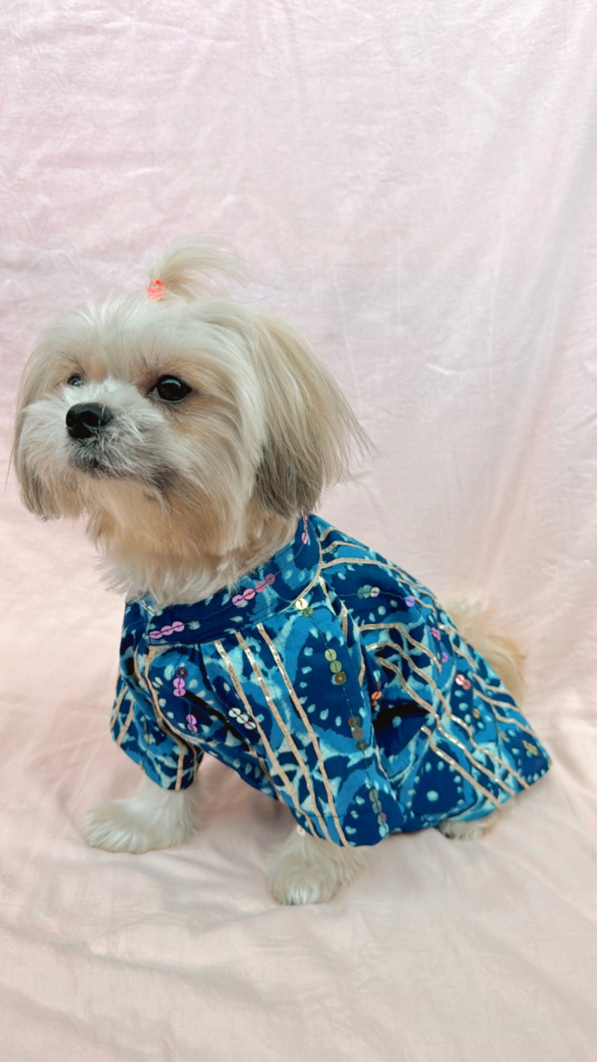 Dog Kurta / Dog Wear / Dog occasion wear - furrvanity