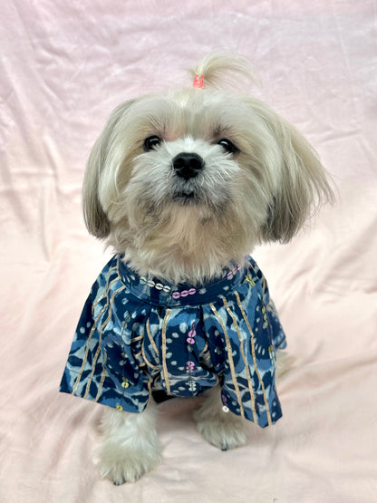 Dog Kurta / Dog Wear / Dog occasion wear - furrvanity