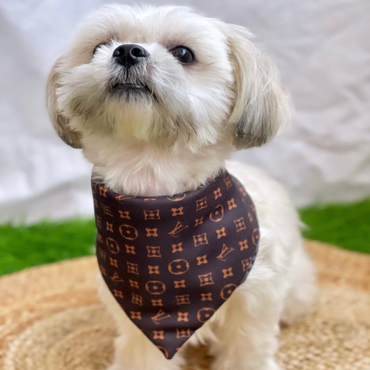 Louis vuitton dog bandana best sale