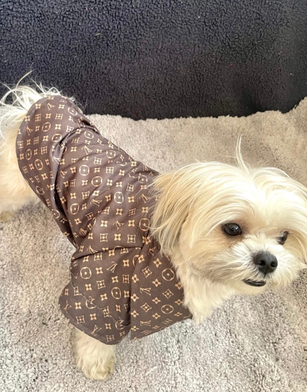 Dog Shirt / Dog wear - Furrvanity