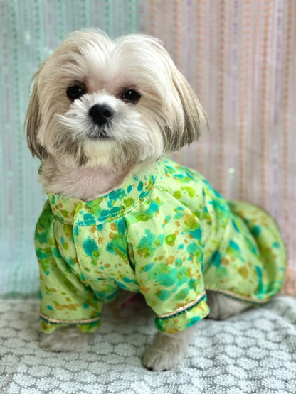 Dog Kurta / Dog Wear / Dog occasion wear - furrvanity