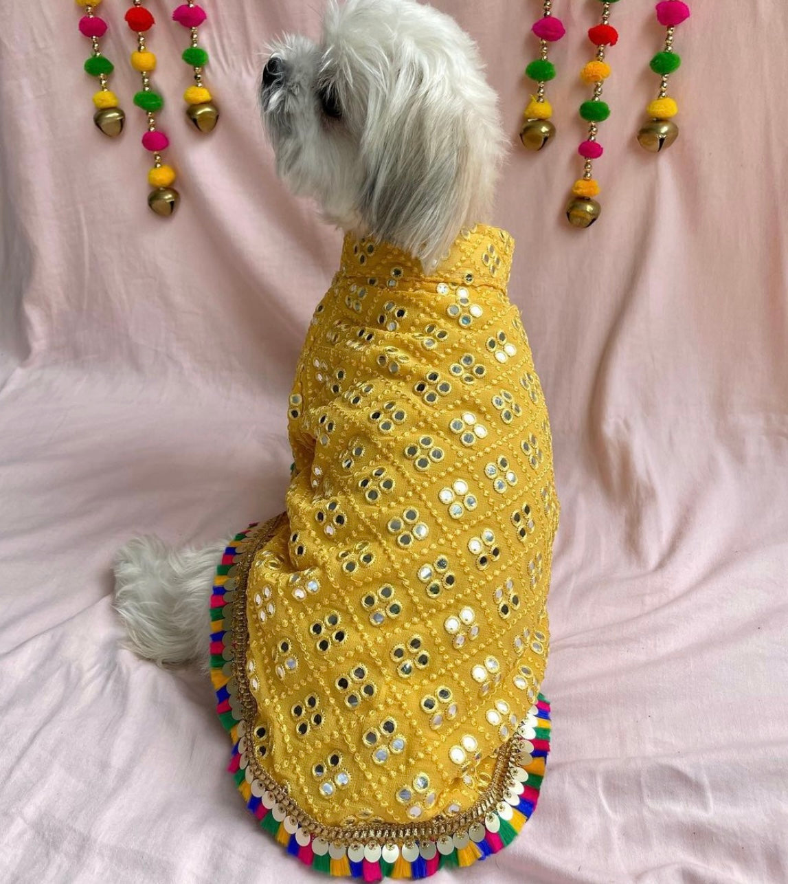 Dog sherwani / Dog Wear / Dog occasion wear - furrvanity