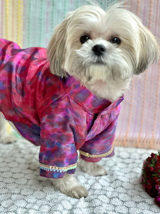 Dog Kurta / Dog Wear / Dog occasion wear - furrvanity