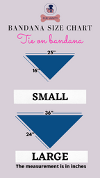 Mickey-Floral Bandana