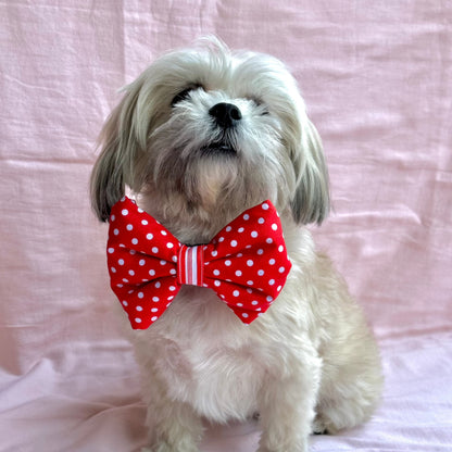 Dog Bow / Dog Accessories - Furrvanity