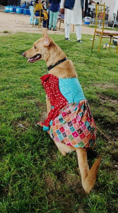 Dog saree dress / Dog Wear / Dog occasion wear - furrvanity