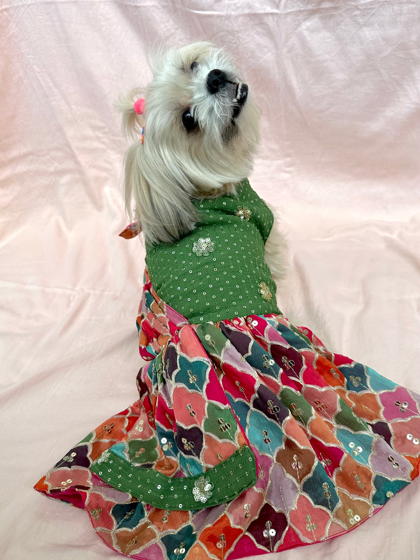 Dog saree dress / Dog Wear / Dog occasion wear - furrvanity