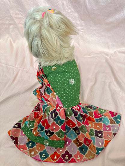 Dog saree dress / Dog Wear / Dog occasion wear - furrvanity