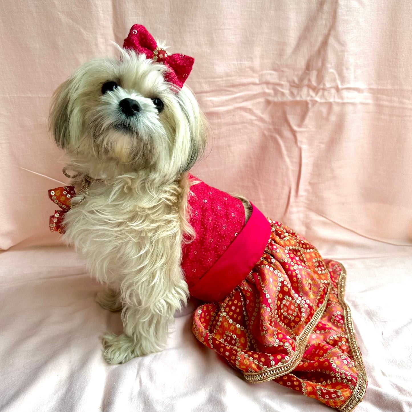 Dog Lehanga Choli / Dog Wear / Dog occasion wear  - Furrvanity