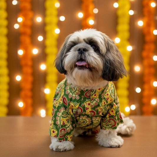Green Ajrakh kurta