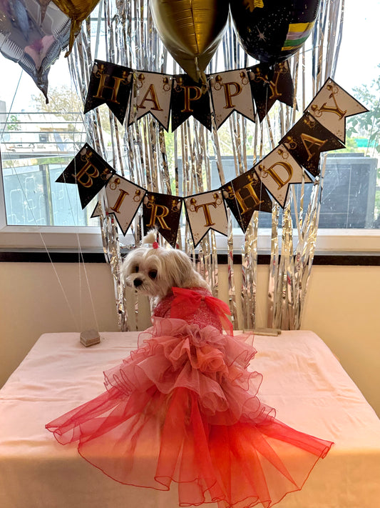 Dog birthday Dress - Furrvanity