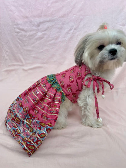 Dog Dress - Furrvanity