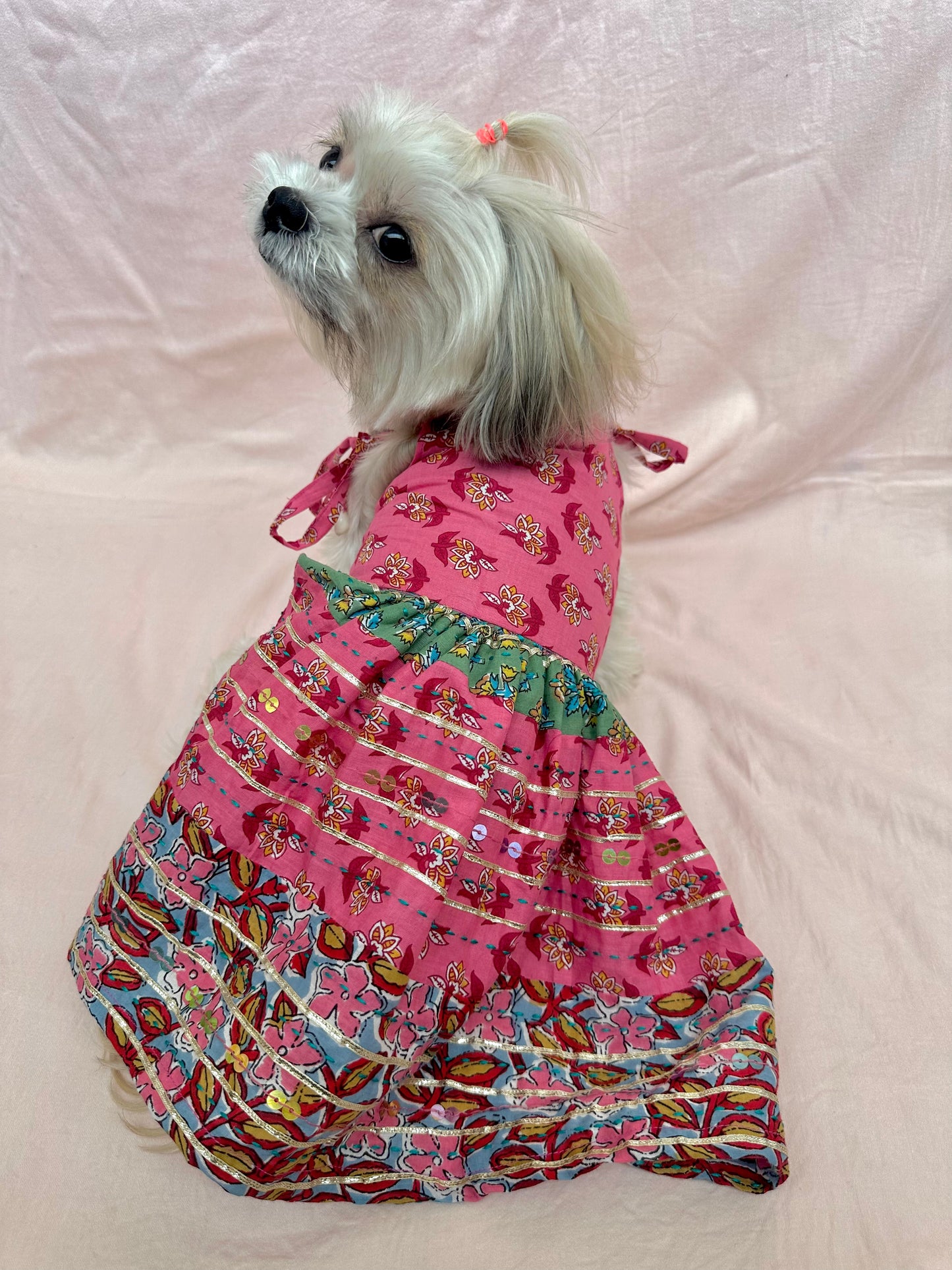 Dog Dress - Furrvanity