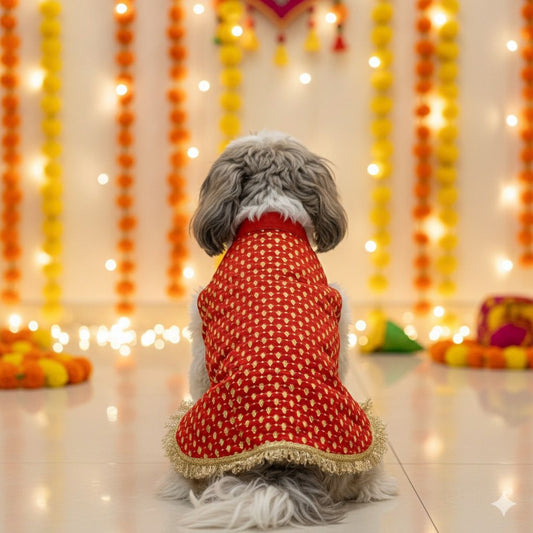 Royal red sherwani