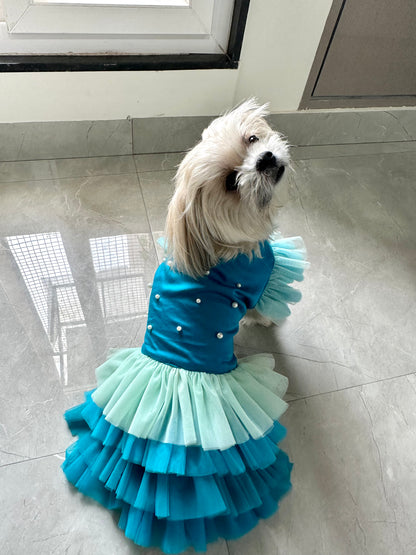 Dog Dress / dog wear - Furrvanity