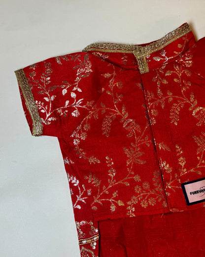 Amira red bandhgala
