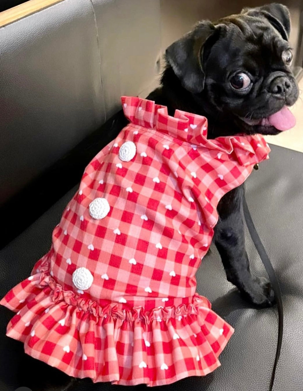 Dog Dress / dog wear - Furrvanity
