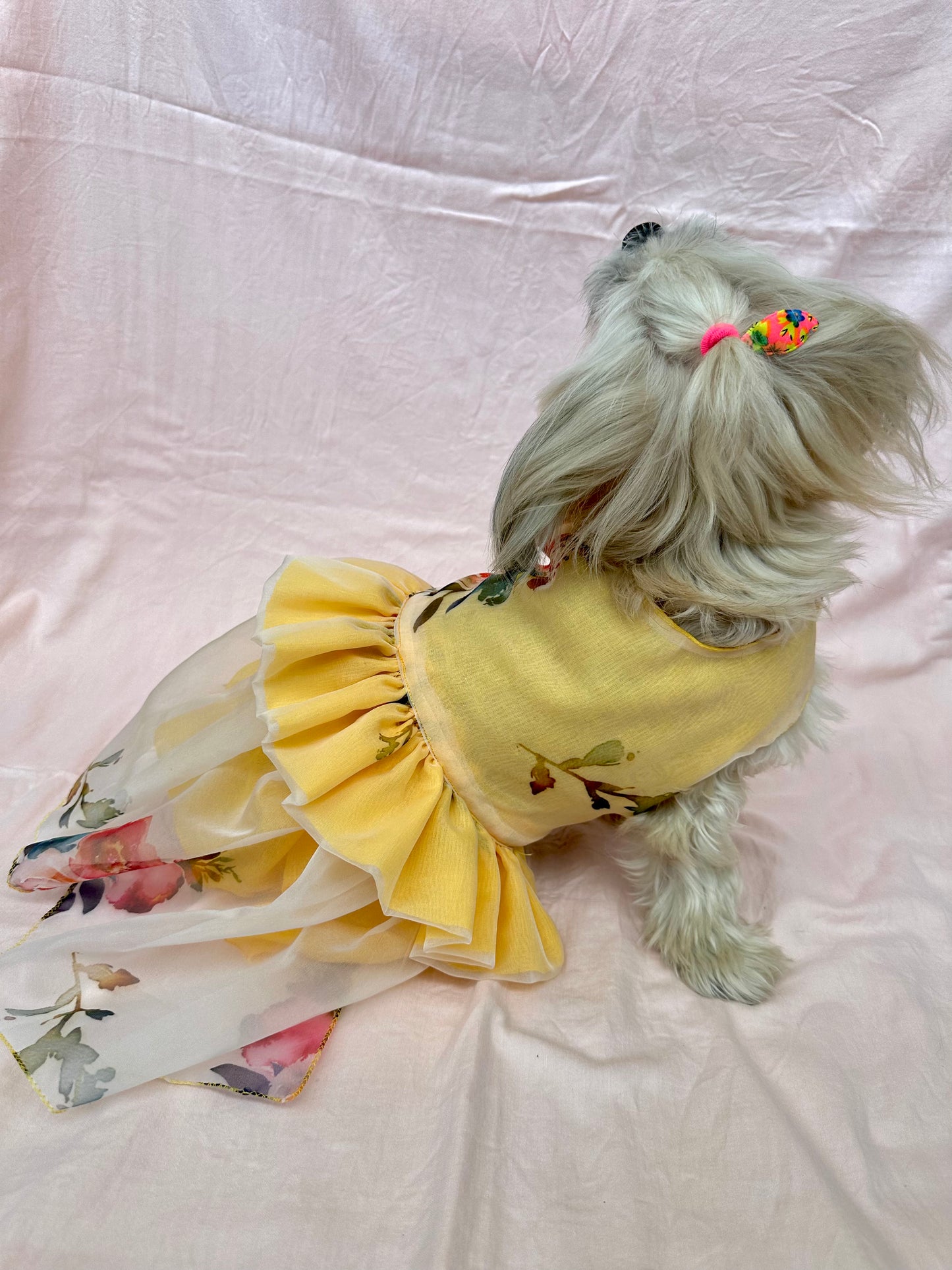 Dog Dress / dog wear - Furrvanity