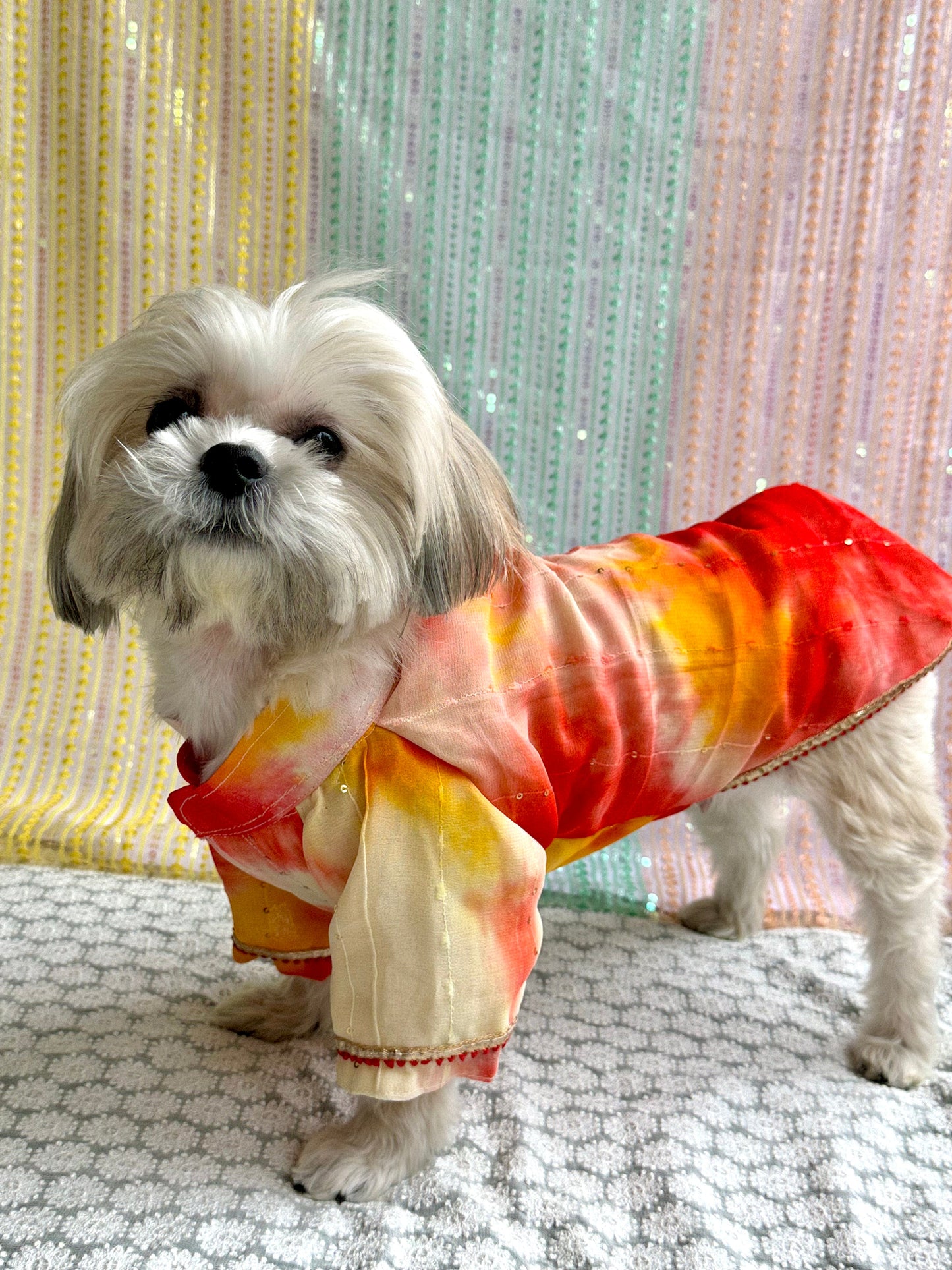 Dog Kurta / Dog Wear / Dog occasion wear - furrvanity